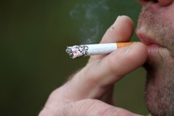 Дорогая сигарета: в Шкловском районе курение в неположенном месте привело к пожару на ферме. Виновника ждет суд