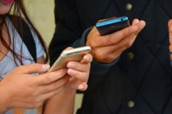 В Беларуси теперь можно жаловаться на цены каждый четверг – даем телефоны