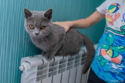 Когда в Беларуси начнут отключать отопление