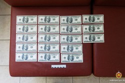 Новое в «деле о сувенирных долларах» в Осиповичах: отец копил на квартиры, сын «прожигал» на ставках