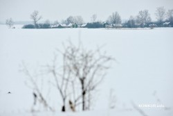 Больше 4 000 рублей обещают белорусам за переселение в деревню