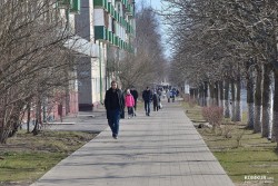 В Белстате сообщили, как изменилась численность населения в стране за год. Есть данные и по Бобруйску