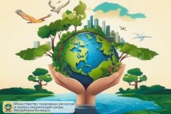 Минприроды предлагает белорусам отключить свет 29 марта