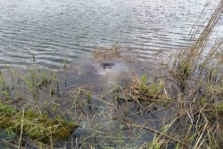 На озере в Костюковичах в нескольких метрах от берега утонул мужчина