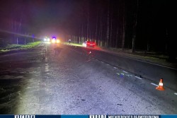 В Бобруйском районе погиб пешеход: возбуждено уголовное дело, следователи ищут очевидцев