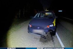 В Бобруйском районе под колесами автомобиля Volkswagen погиб 66-летний пешеход