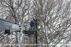 В «Могилевэнерго» пообещали, что нарушенное из-за непогоды электроснабжение будет восстановлено до конца дня