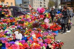 В Бобруйске пройдет экоакция «Радуница без пластика»