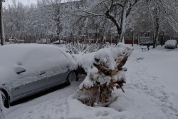 В ночь на воскресенье в Бобруйске выпала декадная норма осадков. В Киселевичах на машину упало дерево, в городе и районе – аварийные отключения света