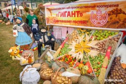 В Беларуси меняется порядок организации и проведения ярмарок