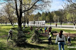 5 апреля в Бобруйске пройдет городской субботник