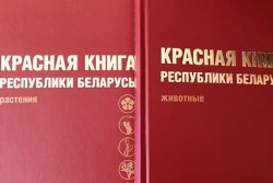 В Красную книгу Беларуси добавлены 13 видов животных и 5 видов растений