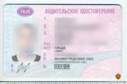 Лишенный прав могилевчанин ходить пешком не захотел: купил поддельные, да еще и на чужое имя