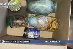 У могилевчанина нашли марихуану и одурманивающие грибы Теперь мужчине грозит до 5 лет лишения свободы