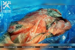Могилевские таможенники не дали «уплыть» в Россию хребтам лосося без документов