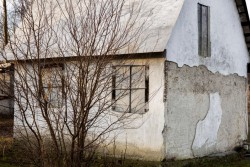 В Могилевской области выявили недостатки в работе с пустующими домами. Какие меры приняла прокуратура