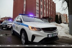 В Бобруйском районе найден скелетированный труп. Милиция просит помочь установить личность человека