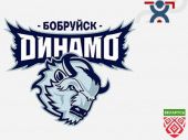 Белорусское физкультурно-спортивное общество «Динамо». Бобруйская городская организация