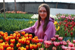 «Выгодное дело, но очень хлопотное»: как семья Филимоновых выращивает тюльпаны в Белыничском районе